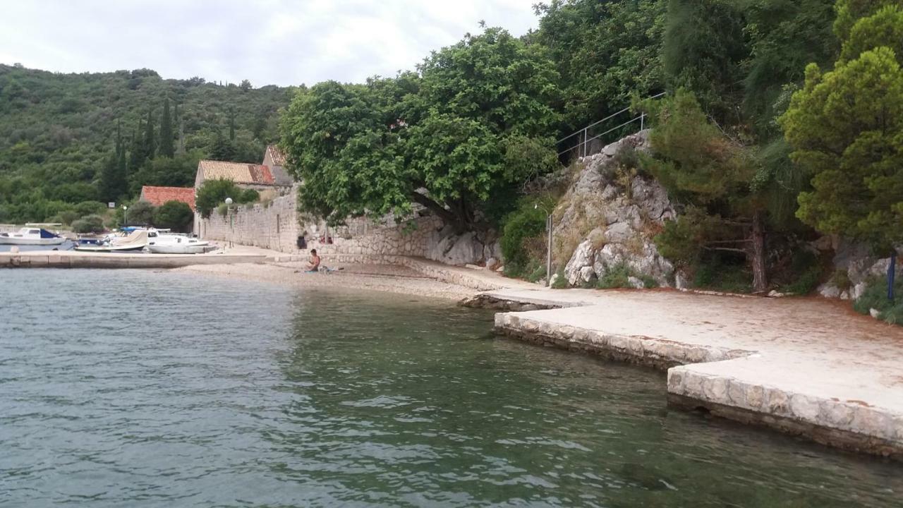 Vesna - Your Best Choice - 80 M From Beach Zaton  Bagian luar foto