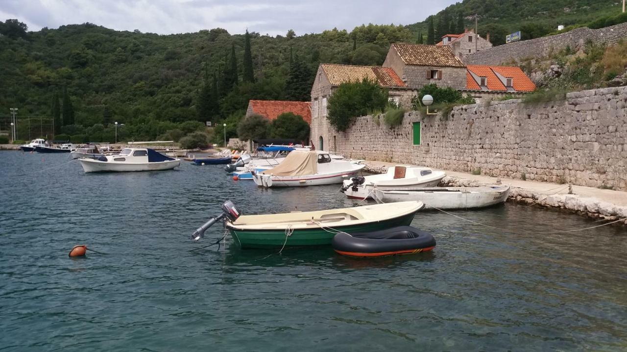 Vesna - Your Best Choice - 80 M From Beach Zaton  Bagian luar foto