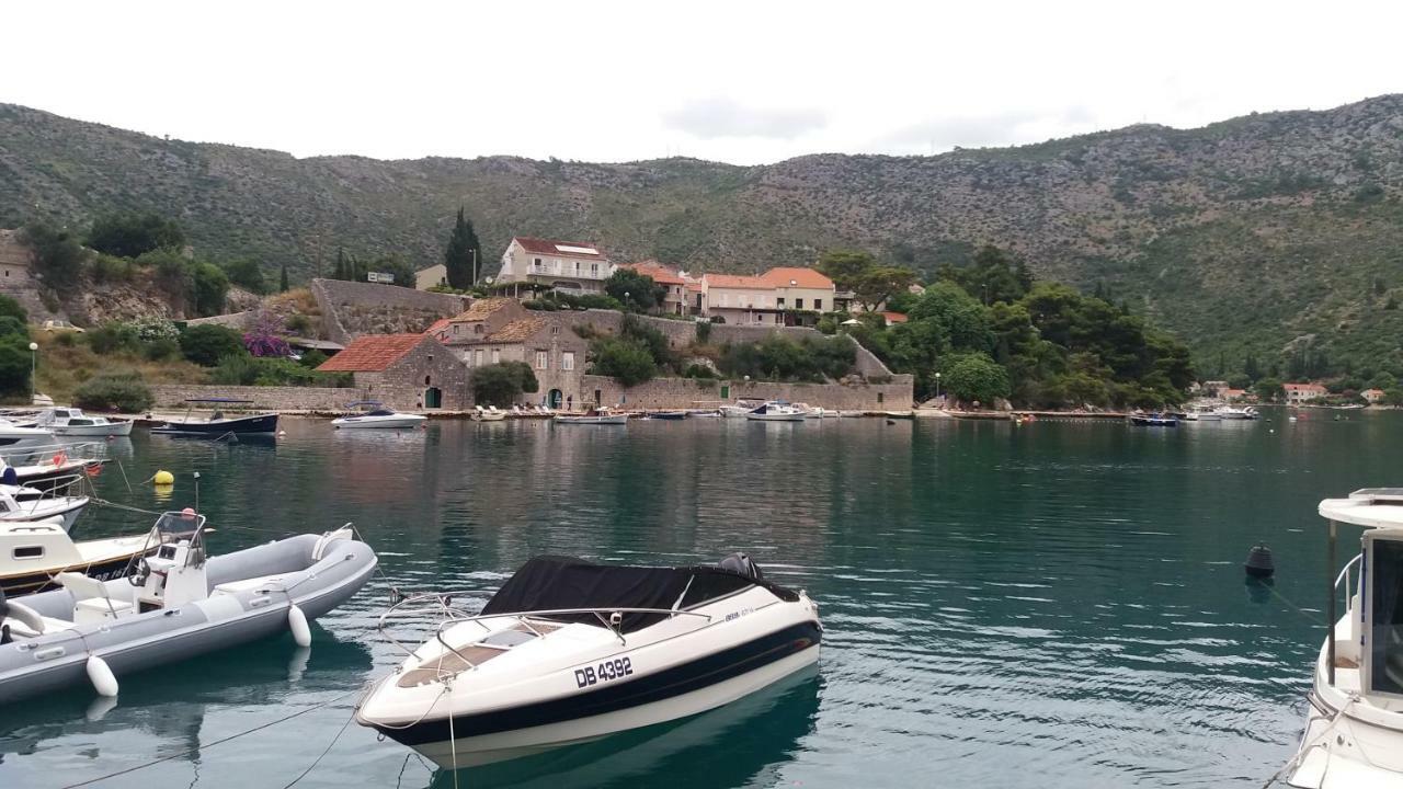 Vesna - Your Best Choice - 80 M From Beach Zaton  Bagian luar foto