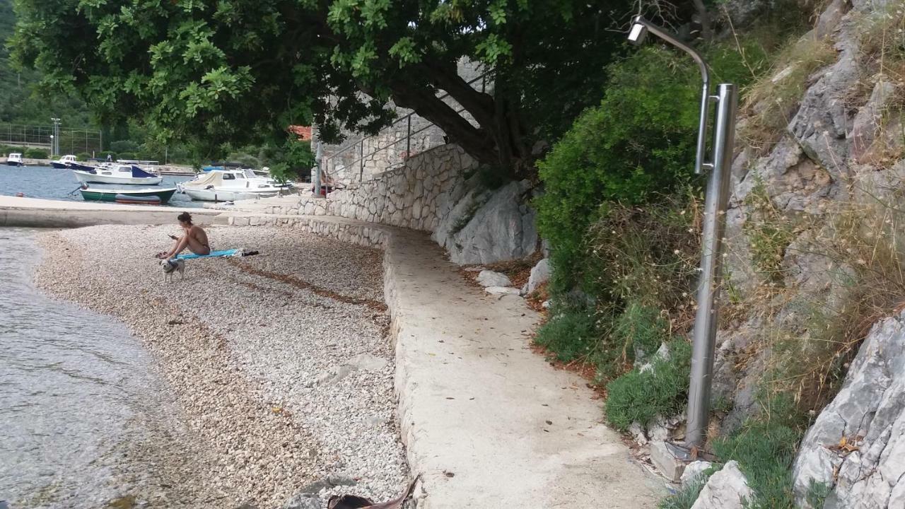 Vesna - Your Best Choice - 80 M From Beach Zaton  Bagian luar foto